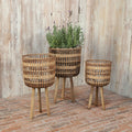 11/13/15" Brown Round Bamboo Planters with Tripod Stand - Set of 3