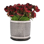 6" Gray Ceramic Planter with Mesh Design and Saucer