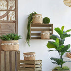 Set of 2 Brown Cement Planters with Woven Basket Design and Cream Tassel Accents – 6.5"x6.5"x6" Decorative Flower Pots